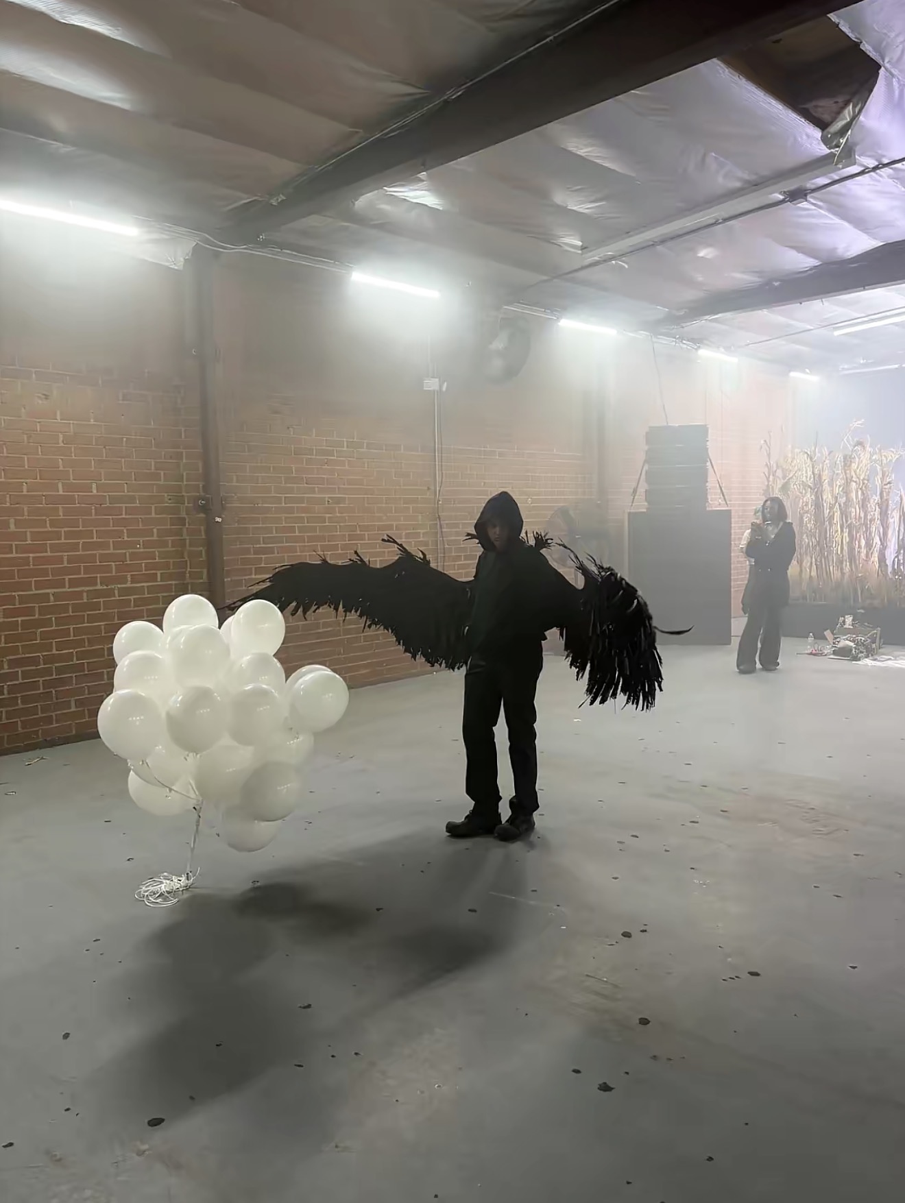 ZAYAMIRA in black wings